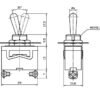 Ключ с лост 2pin и 2 положения черен 250V 15A Ф12mm