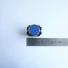 Бутон BA61 незадържащ НО син 250V 3A Ф22mm
