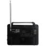 Радио RX-608ACW с батерии/220VAC FM/AM/TV/SW1/SW2