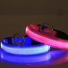 Светещ LED нашийник за куче