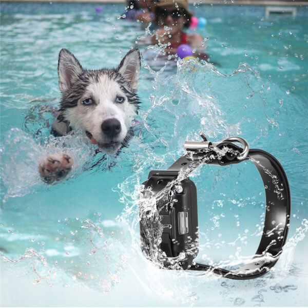 Електронен нашийник за куче