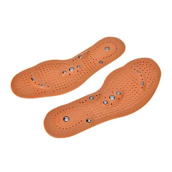 Магнитни стелки, 8 магнита