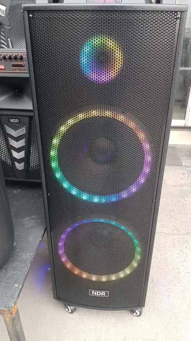 Двойна тонколона 2000W - 2 x 12" говорители, цветни светлини NDR-1222