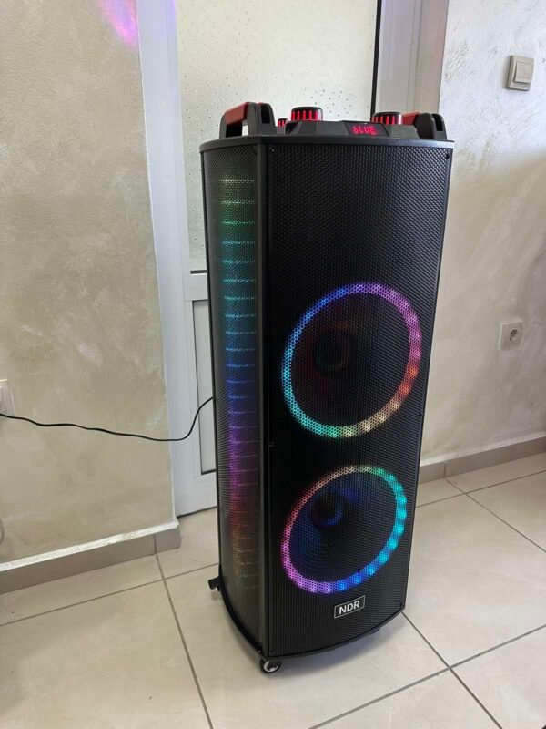 Двойна тонколона 2000W - 2 x 12" говорители, цветни светлини NDR-1222