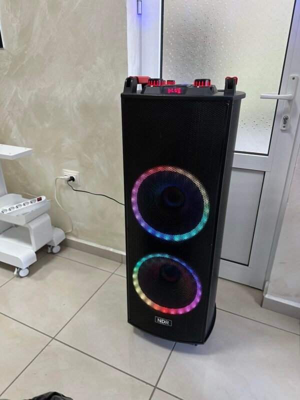 Двойна тонколона 2000W - 2 x 12" говорители, цветни светлини NDR-1222